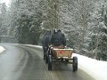 podhalanskieDSC02066