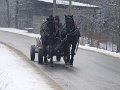 podhalanskieDSC02067
