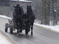 podhalanskieDSC02068