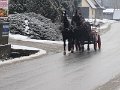podhalanskieDSC02073