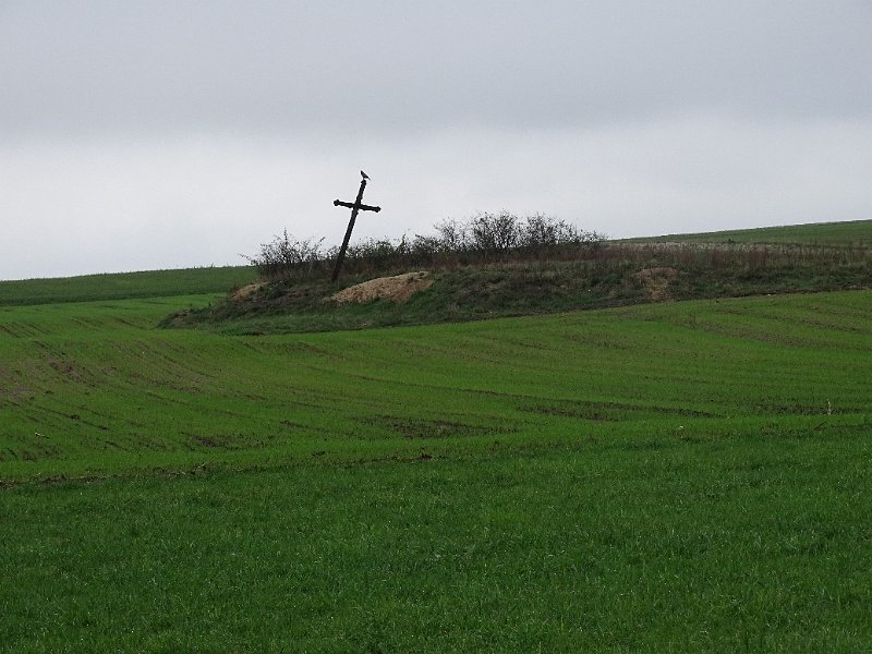 DSC01986.jpg