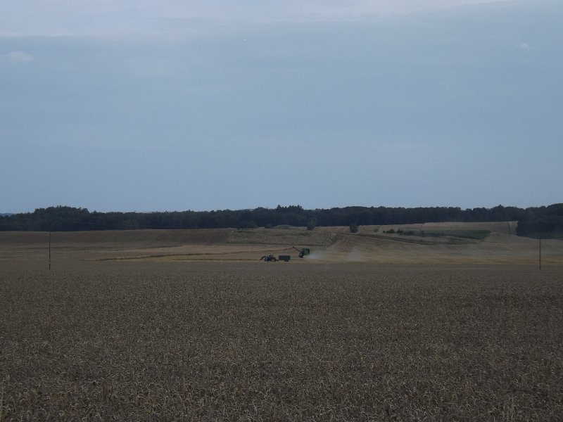DSCF1490.jpg