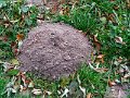 DSC00058