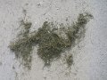 DSCF4927