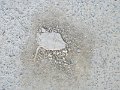 DSCF4928