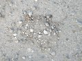 DSCF4930