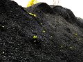 DSCF6910