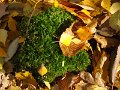 DSCF9579